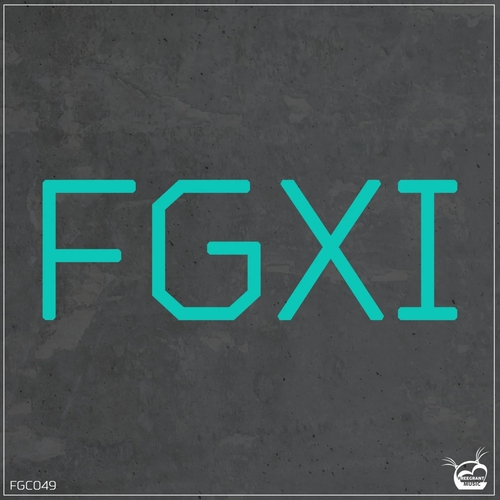 VA - FGXI (11th Years Anniversary) [FGC049]